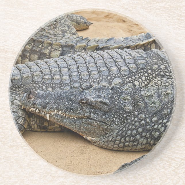 Dessous De Verre En Grès Crocodiles (Devant)