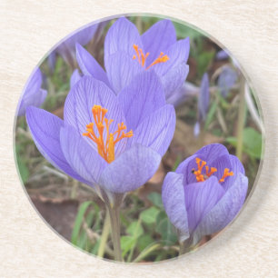 Dessous De Verre En Grès Crocus