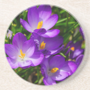 Dessous De Verre En Grès Crocus Lilac
