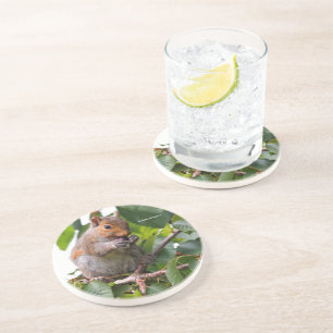 Dessous De Verre En Grès Cuite Cerise cueillir Écureuil gris