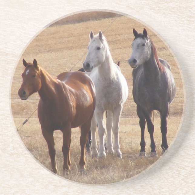 Dessous De Verre En Grès Curiosité équine 3 (Devant)