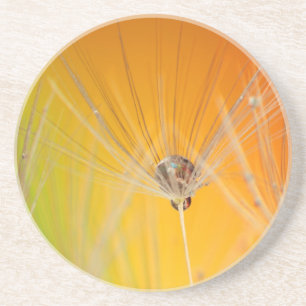 Dessous De Verre En Grès Dandelion Fleurs Destiny Peace Love Art