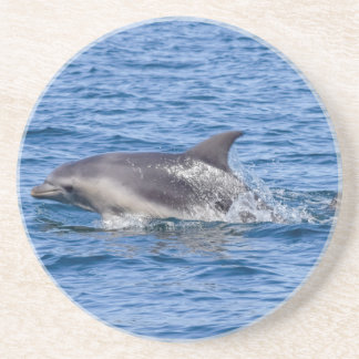 Dessous de verre en grès dauphin visible