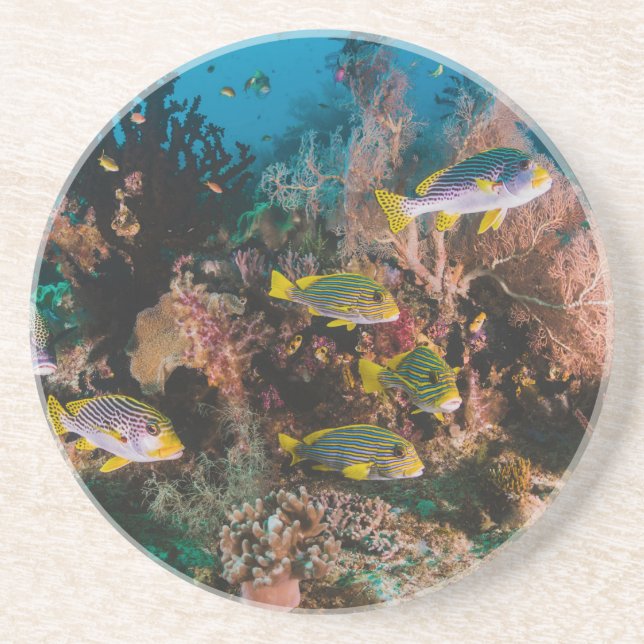 Dessous de verre en grès de Coral Reef (Devant)