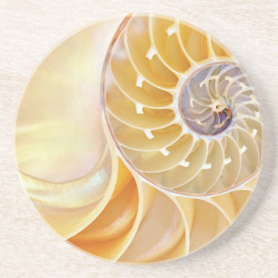 Dessous de verre en grès de Nautilus