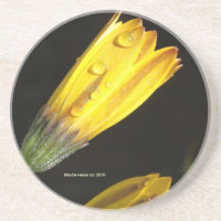 Découpe sur une marguerite jaune - Dessous de verr