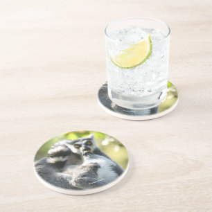 Dessous De Verre En Grès Des lémuriens de Madagascar surpris