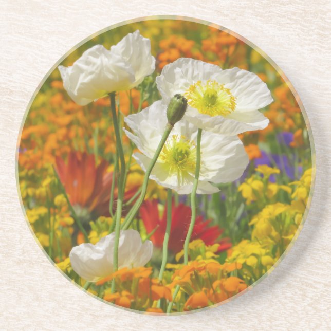 Dessous De Verre En Grès Des pavots blancs poussent autour des fleurs color (Devant)