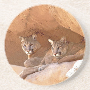 Dessous De Verre En Grès Deux lions de montagne