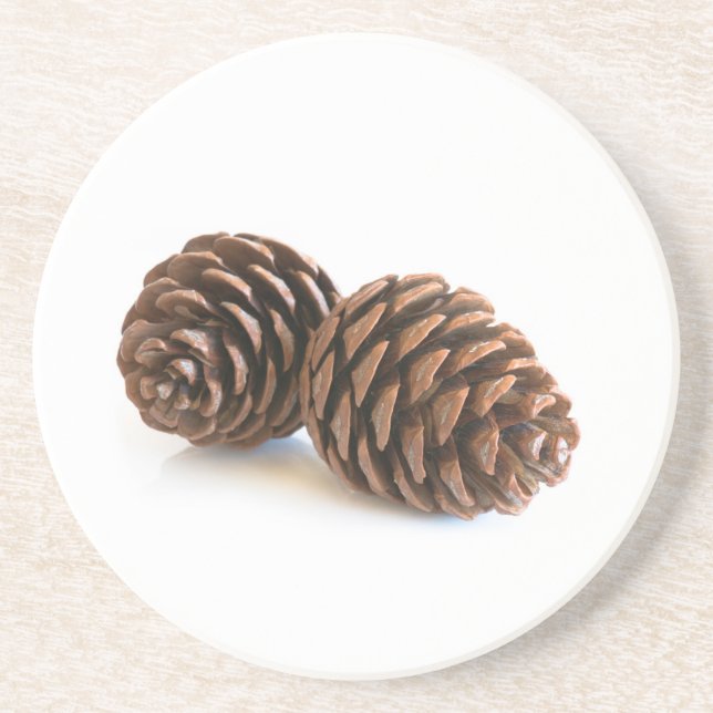 Dessous De Verre En Grès Deux pinecones (Devant)