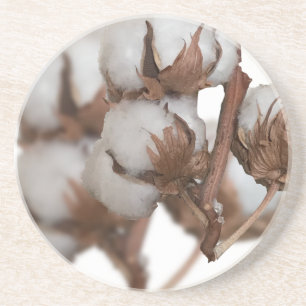 Dessous De Verre En Grès Deuxième anniversaire avec le plante de coton