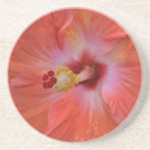 Dessous de verre en grès d'Orange Hibiscus