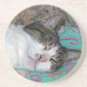 Dessous De Verre En Grès Dormir de miel