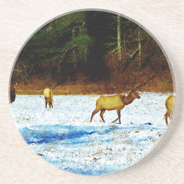 DESSOUS DE VERRE EN GRÈS DSC00131.JPG (Devant)