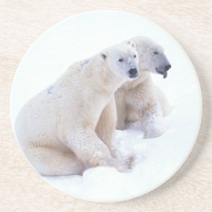 Dessous De Verre En Grès Duo d'ours blanc