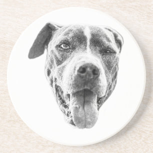 Dessous De Verre En Grès Echo Canine Canine Chiline