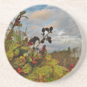 Dessous De Verre En Grès Elegant Holly Christmas,