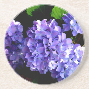Dessous De Verre En Grès Elégante fleurs florales violettes profondes hydra