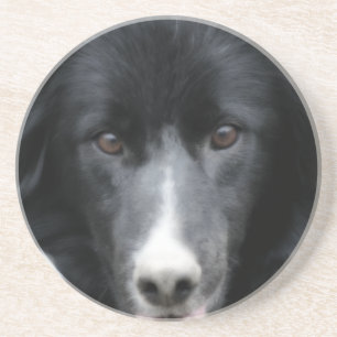 Dessous De Verre En Grès Entent Bordure Collie Visage Chien Dessous de verr