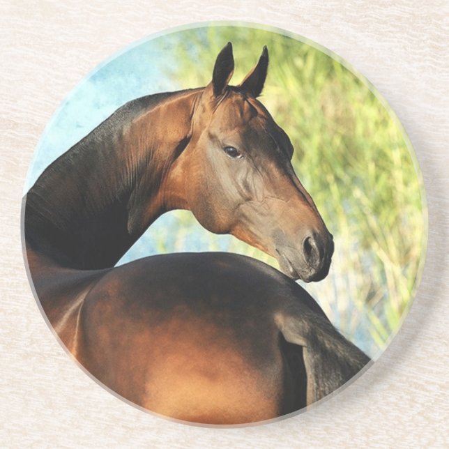 Dessous De Verre En Grès étalon d'Akhal-teke (Devant)