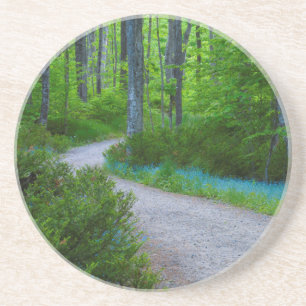 Dessous De Verre En Grès États-Unis, Michigan. Chemin à travers les bois