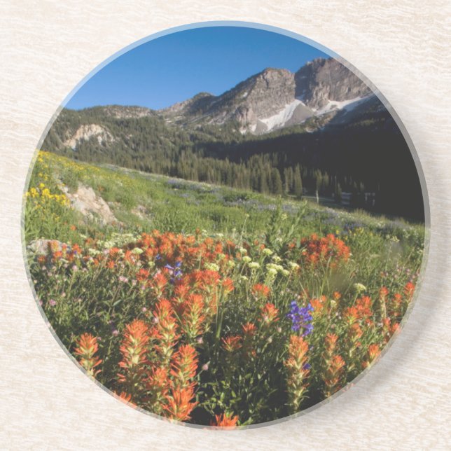 Dessous De Verre En Grès États-Unis, Utah, forêt nationale d'Uinta-Wasatch- (Devant)
