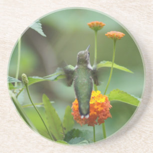 Dessous De Verre En Grès Été Hummer