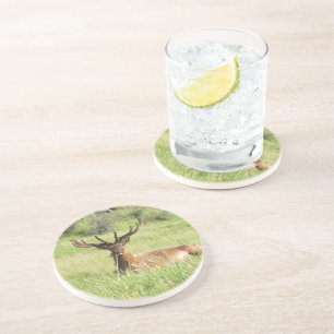 Dessous De Verre En Grès Étiquettes de la Nouvelle-Zélande