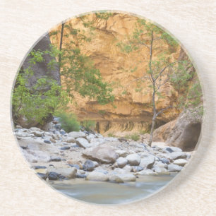 Dessous De Verre En Grès Étroits de Zion