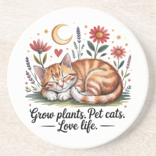 Dessous De Verre En Grès Faire pousser des plantes que les chats domestique