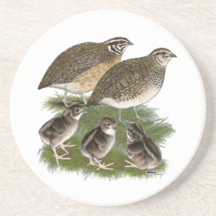 Dessous De Verre En Grès Famille des Cailles Coturnix