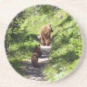 Dessous De Verre En Grès Famille d'ours bruns