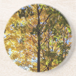 Dessous De Verre En Grès Feuillage d'automne jaune et vert