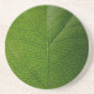 Dessous De Verre En Grès Feuille verte