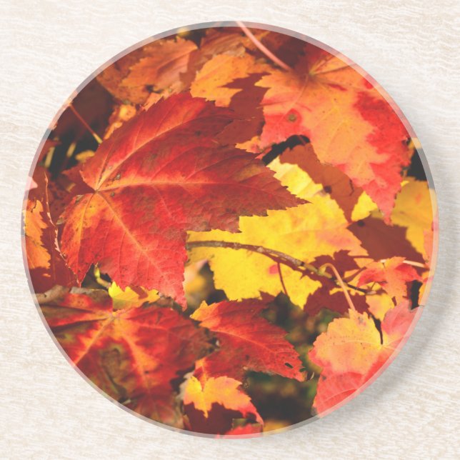 Dessous De Verre En Grès Feuilles d'automne colorées, feuille d'érable roug (Devant)