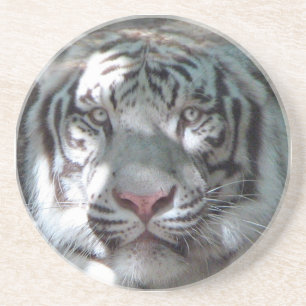 Dessous De Verre En Grès Fin blanche de tigre
