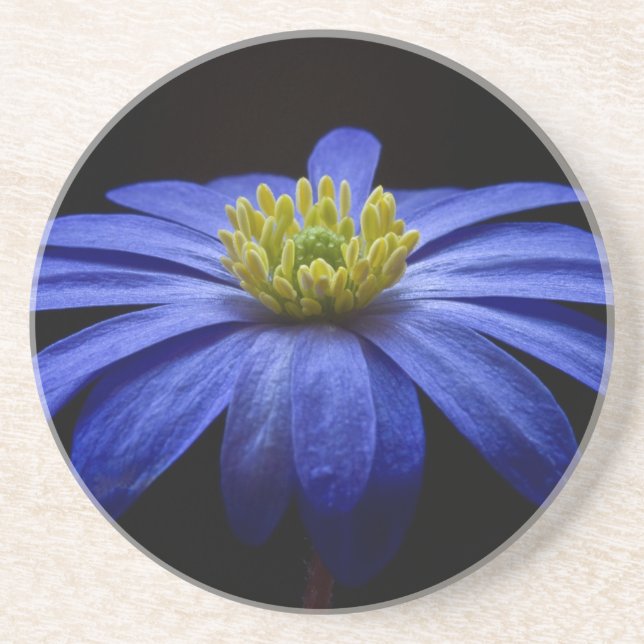 Dessous De Verre En Grès Fleur balkanique bleue d'anémone (Devant)