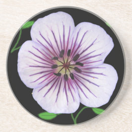 Dessous De Verre En Grès Fleur bleu-clair botanique de géranium sur toute