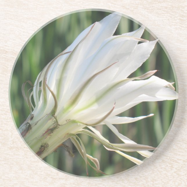 Dessous de verre en grès fleur de cactus (Devant)