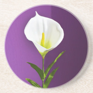 Dessous De Verre En Grès Fleur de Cala Lily