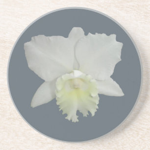 Dessous De Verre En Grès Fleur d'orchidée blanche