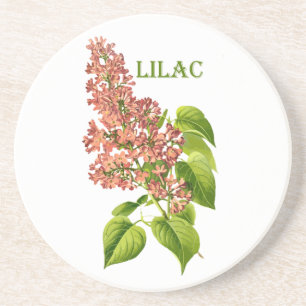 Dessous De Verre En Grès Fleur lilas de corail vintage de jardin de ressort
