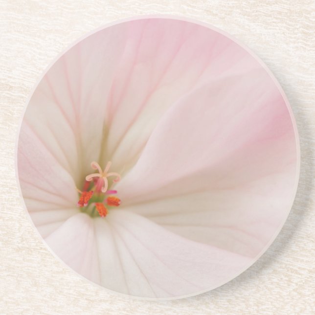 Dessous De Verre En Grès fleur rose (Devant)
