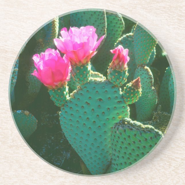 Dessous De Verre En Grès Fleurs de Cactus Beavertail (Devant)