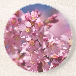 Dessous De Verre En Grès Fleurs de cerisier Sakura embrassées par la lumièr
