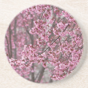 Dessous De Verre En Grès Fleurs de cerisier Sakura rose flottant