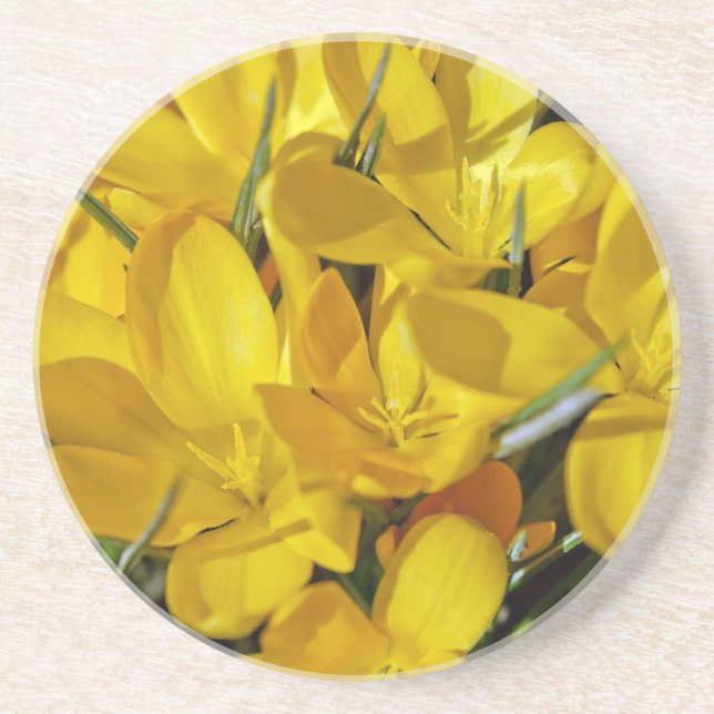 Dessous De Verre En Grès Fleurs de Crocus Jaune (Devant)