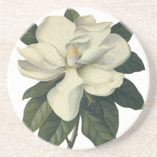 Dessous De Verre En Grès Fleurs de fleurs vintages de Magnolia Blanche en f