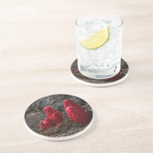 Dessous De Verre En Grès Fleurs de neige