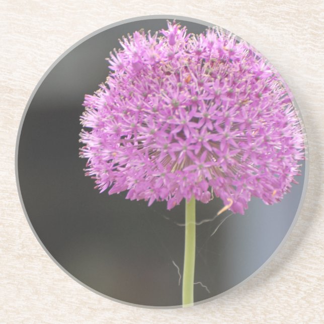 Dessous De Verre En Grès Fleurs pour tous (Devant)